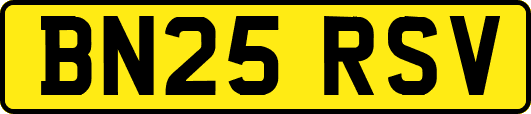 BN25RSV
