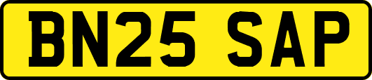 BN25SAP