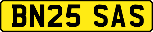 BN25SAS