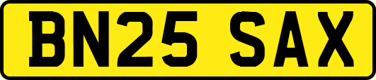 BN25SAX
