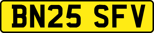 BN25SFV