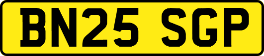 BN25SGP
