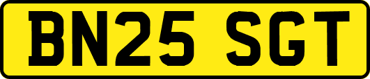 BN25SGT