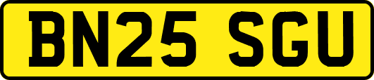BN25SGU