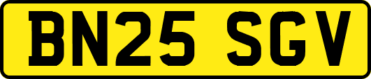 BN25SGV