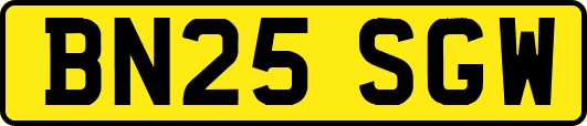 BN25SGW