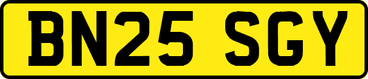 BN25SGY