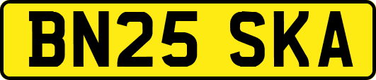 BN25SKA