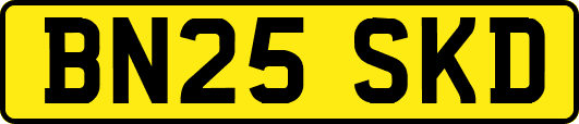 BN25SKD
