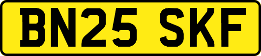BN25SKF
