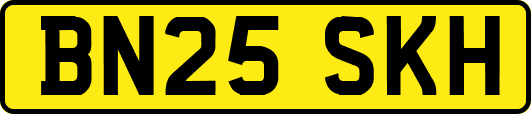 BN25SKH