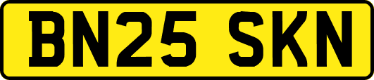BN25SKN