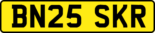 BN25SKR