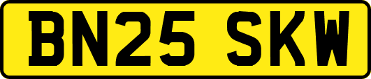 BN25SKW