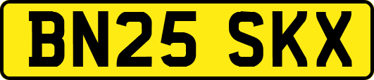 BN25SKX