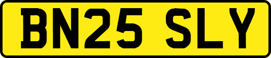 BN25SLY