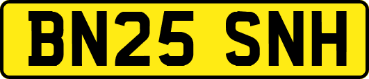 BN25SNH