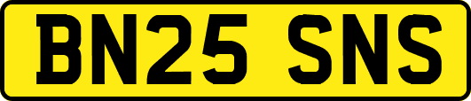 BN25SNS