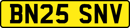 BN25SNV