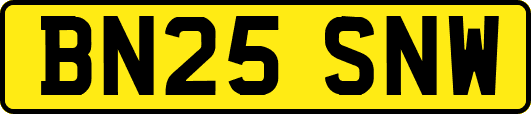 BN25SNW