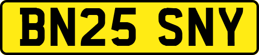 BN25SNY