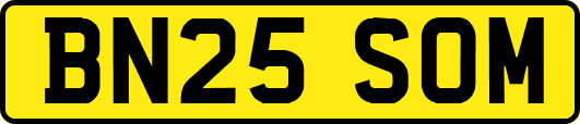 BN25SOM