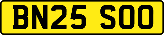 BN25SOO