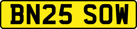 BN25SOW