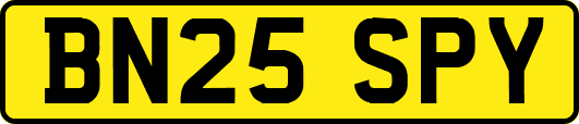 BN25SPY