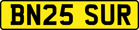 BN25SUR