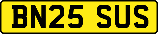 BN25SUS