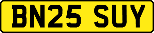 BN25SUY