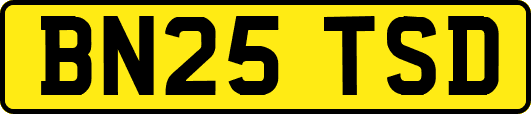 BN25TSD