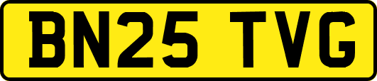 BN25TVG