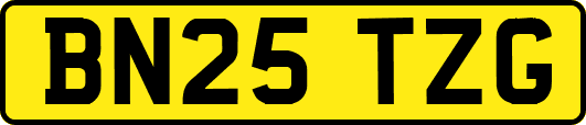 BN25TZG