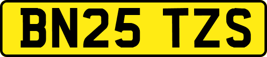 BN25TZS