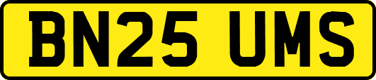 BN25UMS