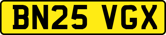 BN25VGX