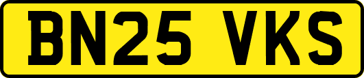 BN25VKS