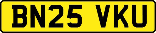 BN25VKU