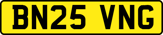 BN25VNG