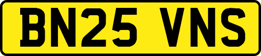 BN25VNS