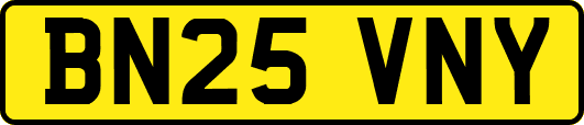 BN25VNY