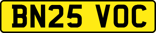 BN25VOC