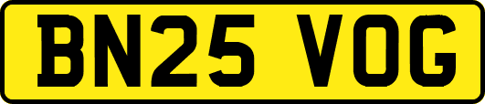 BN25VOG