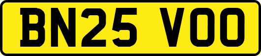 BN25VOO