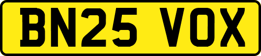 BN25VOX