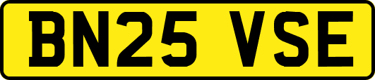 BN25VSE