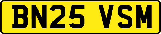 BN25VSM
