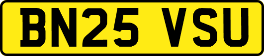 BN25VSU